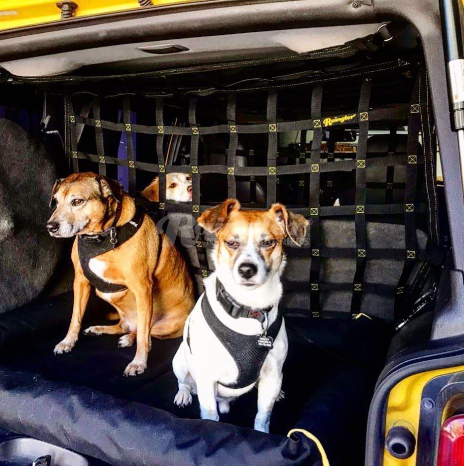 Jeep dog outlet divider