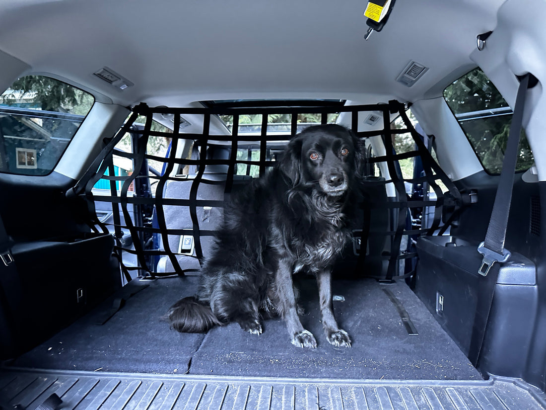 Why Securing Your Cargo, Pets, and Passengers Matters More Than You Think