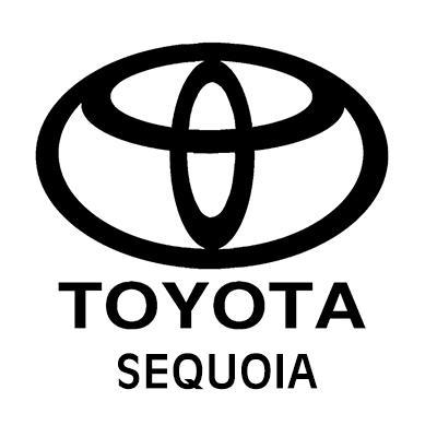 Toyota Sequoia heavy-duty cargo netting