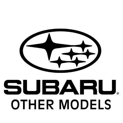 SUBARU (other models) heavy-duty cargo netting