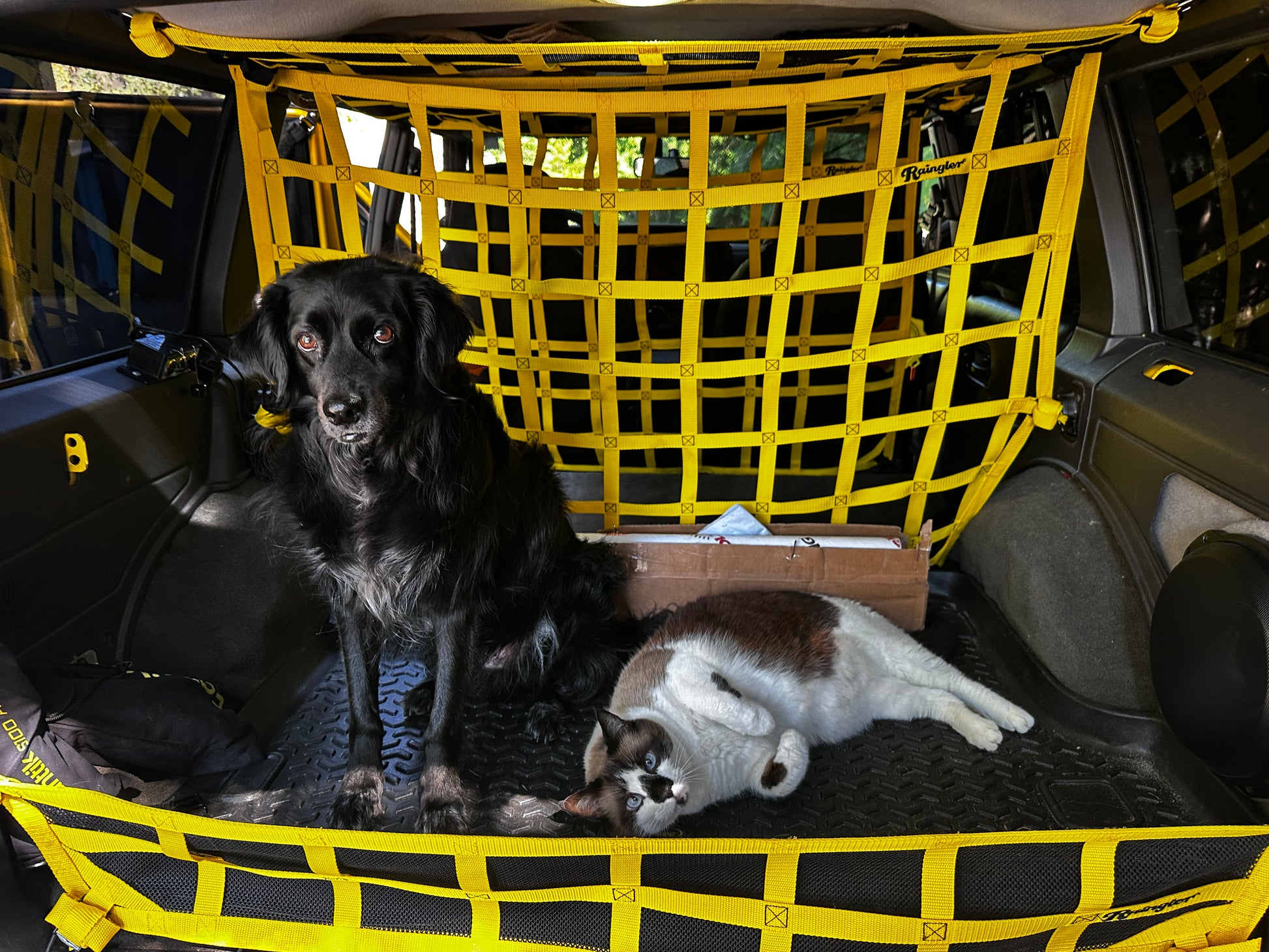 1984 - 2001 Jeep Cherokee (XJ) Behind 2nd Row Seats Rear Barrier Divider Net-Raingler