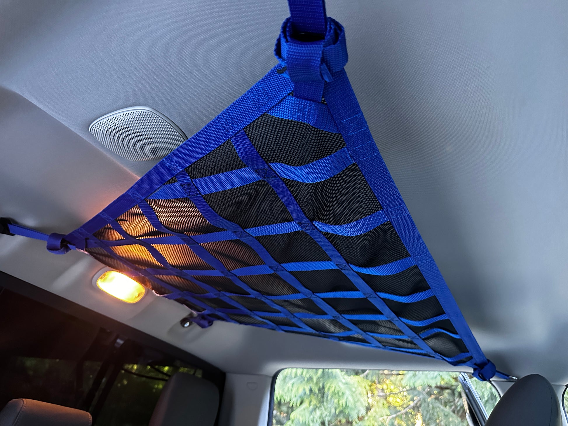 2009 - Newer RAM 5TH GEN / Classic Crew Cab Ceiling Attic Net-Raingler