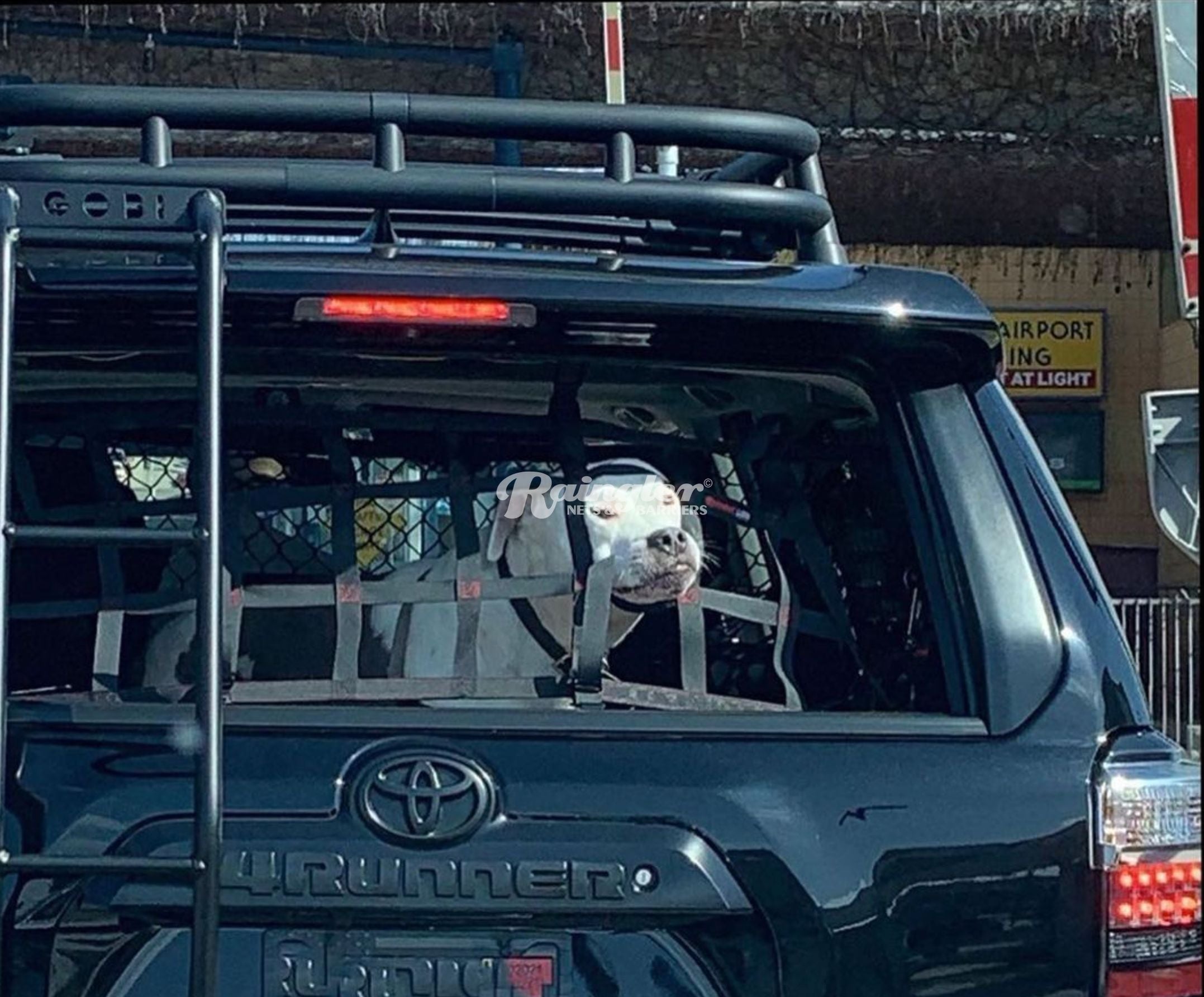 4runner Rear Window Protection 2010 - 2024 Toyota 4Runner 5th Gen (N280) Back Window Barrier Net ...