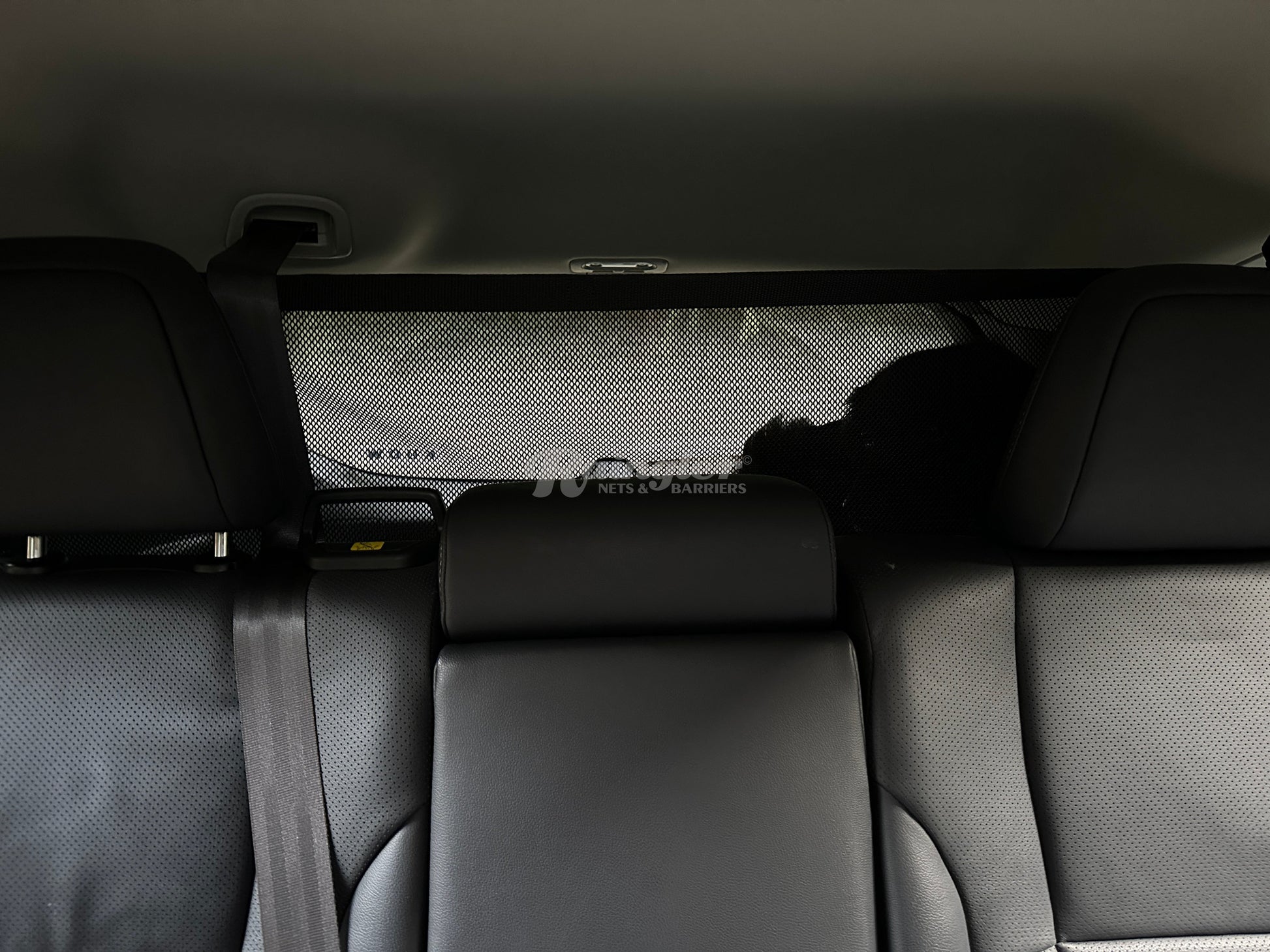 2020 - 2025 Subaru Outback Behind 2nd Row Seats Rear Barrier Divider Net-Raingler