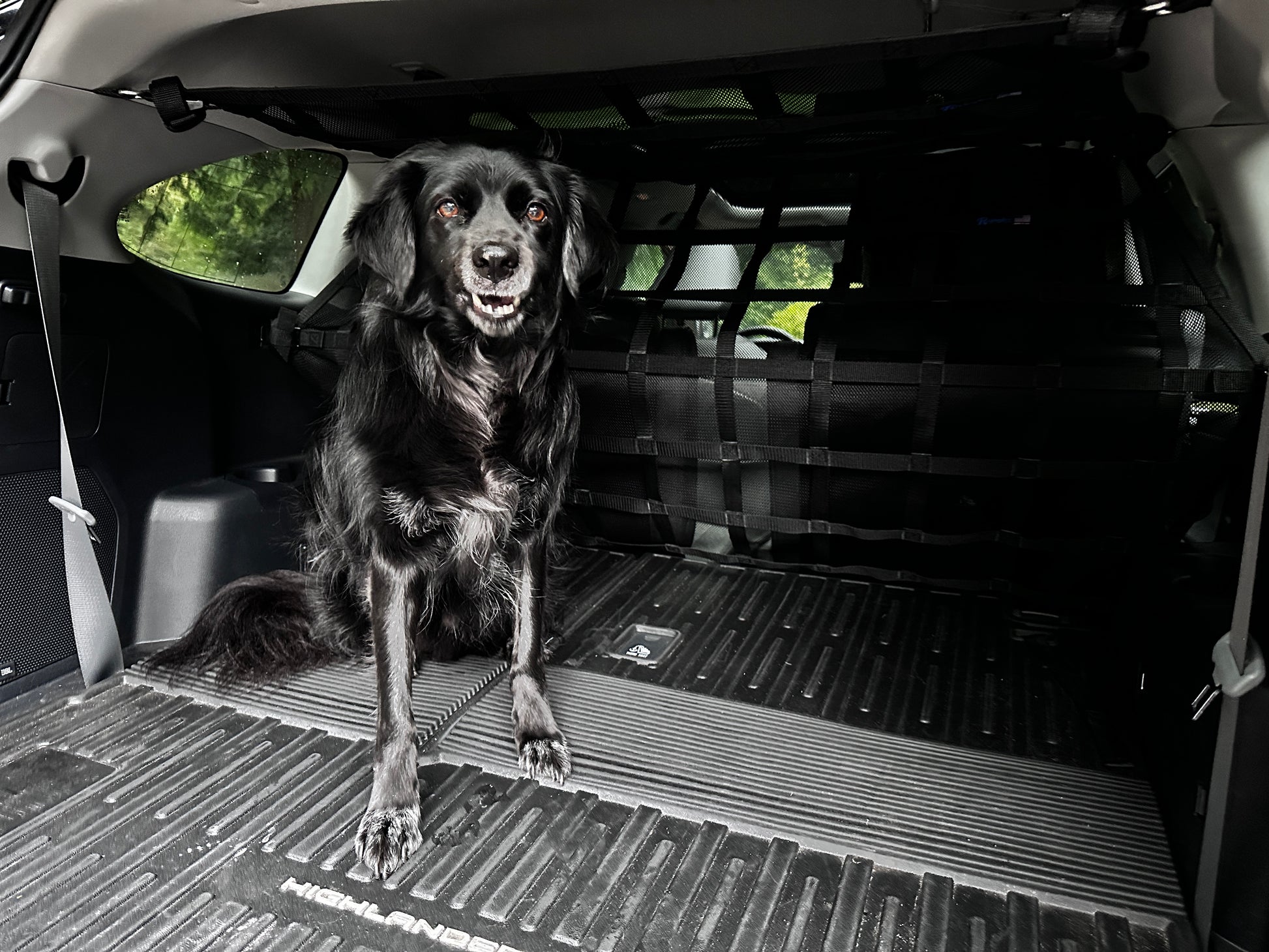 2020 - Newer Toyota Highlander Behind 2nd Row Seats Rear Barrier Divider Net-Raingler