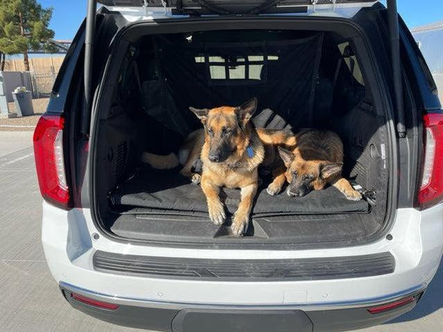 Chevy tahoe shop dog accessories