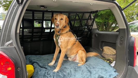 Fits Nissan X-TRAIL Dog Guard Boot Safety Travel Barrier Heavy Duty Fits Nissan X-TRAIL Dog Guard Boot Safety Travel Barrier Heavy Duty