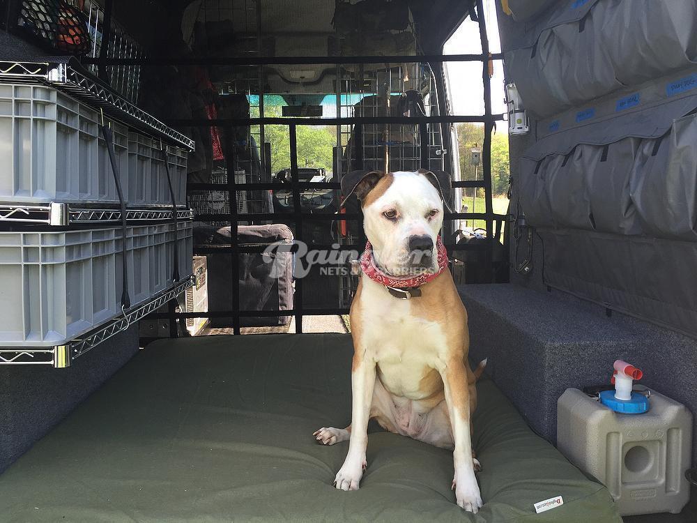 2006 - Newer Sprinter Standard Roof Model Rear Barrier Divider Net-Raingler