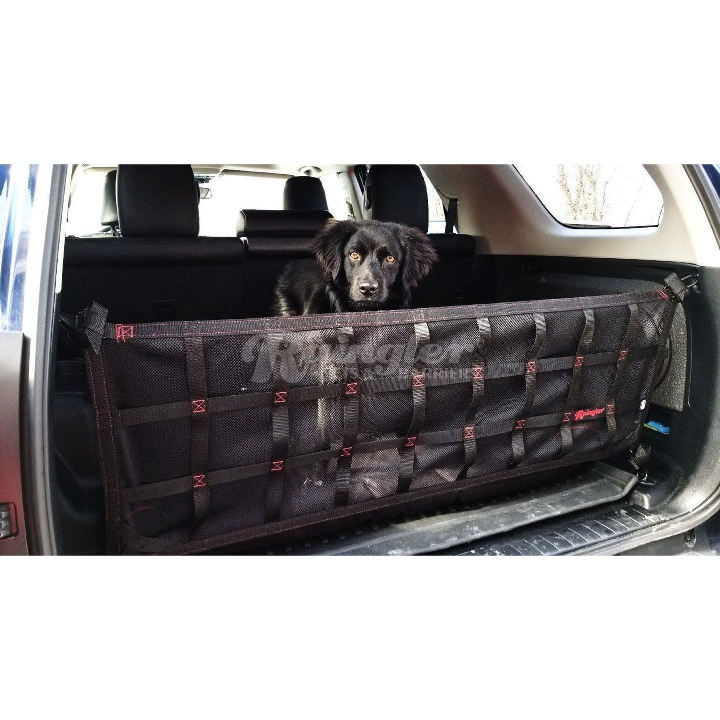 2010 - 2023 Toyota Land Cruiser Prado (J150) Tailgate Net-Raingler