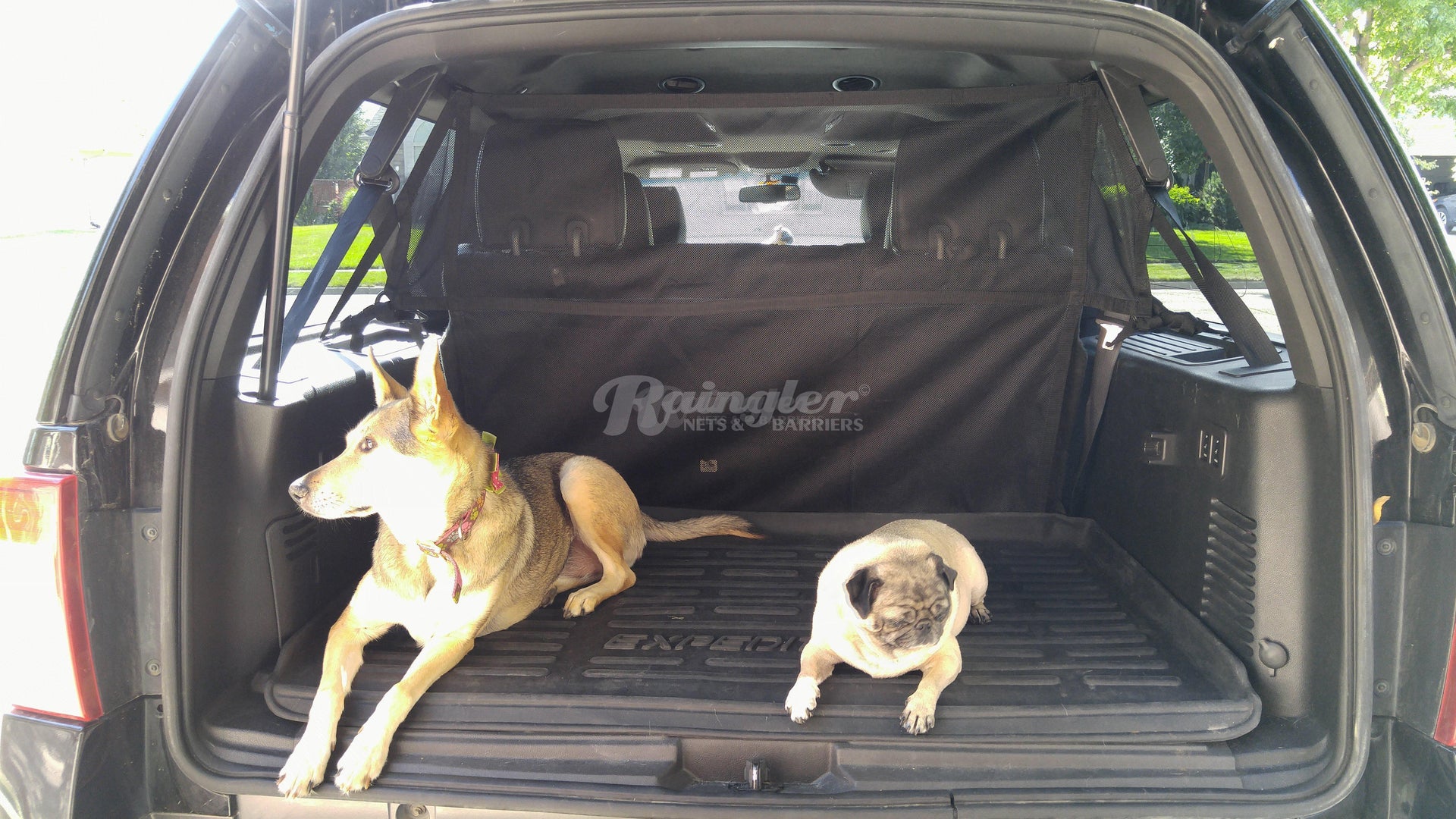 Expedition Max Ford Expedition Dog Barrier Subaru Dog Accessories
