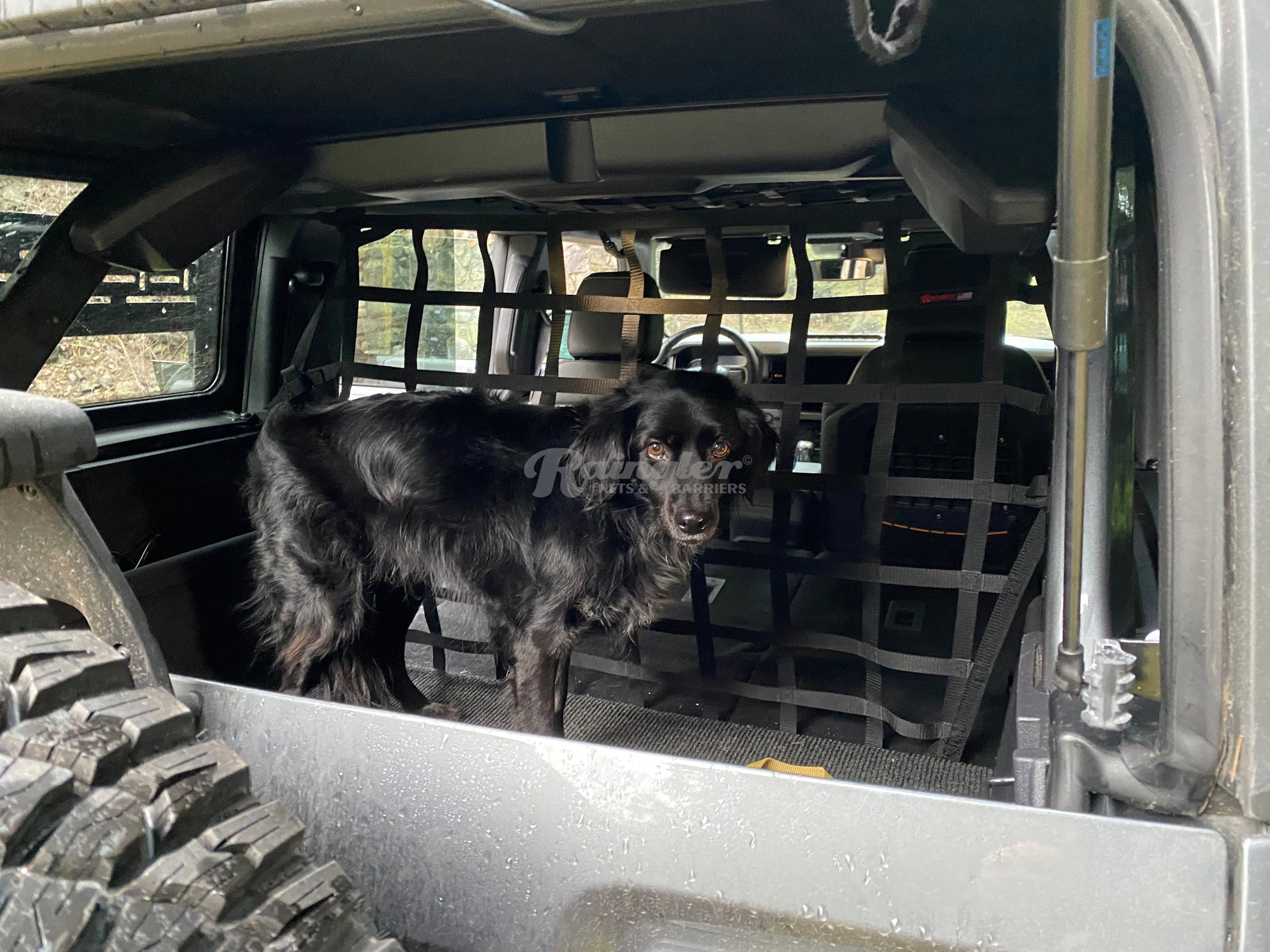 Barrière De Sécurité Chien Ford Bronco 4 Portes 2021-2025 - Filet Isolation Maille Robuste