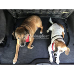 Dog Training Leash - Cargo area-Raingler
