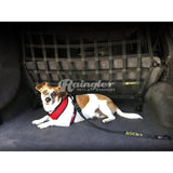 Dog Training Leash - Cargo area-Raingler