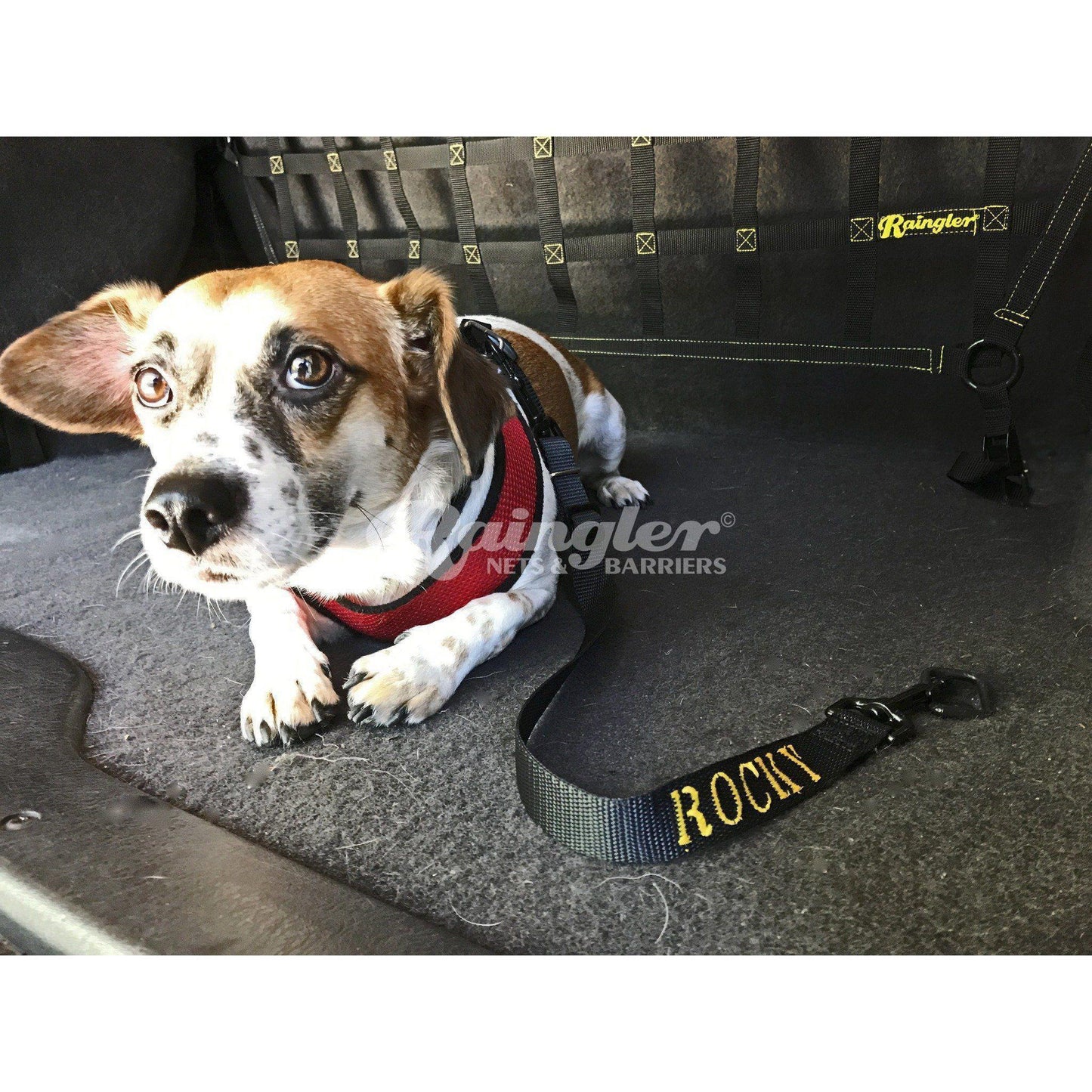 Dog Training Leash - Cargo area-Raingler