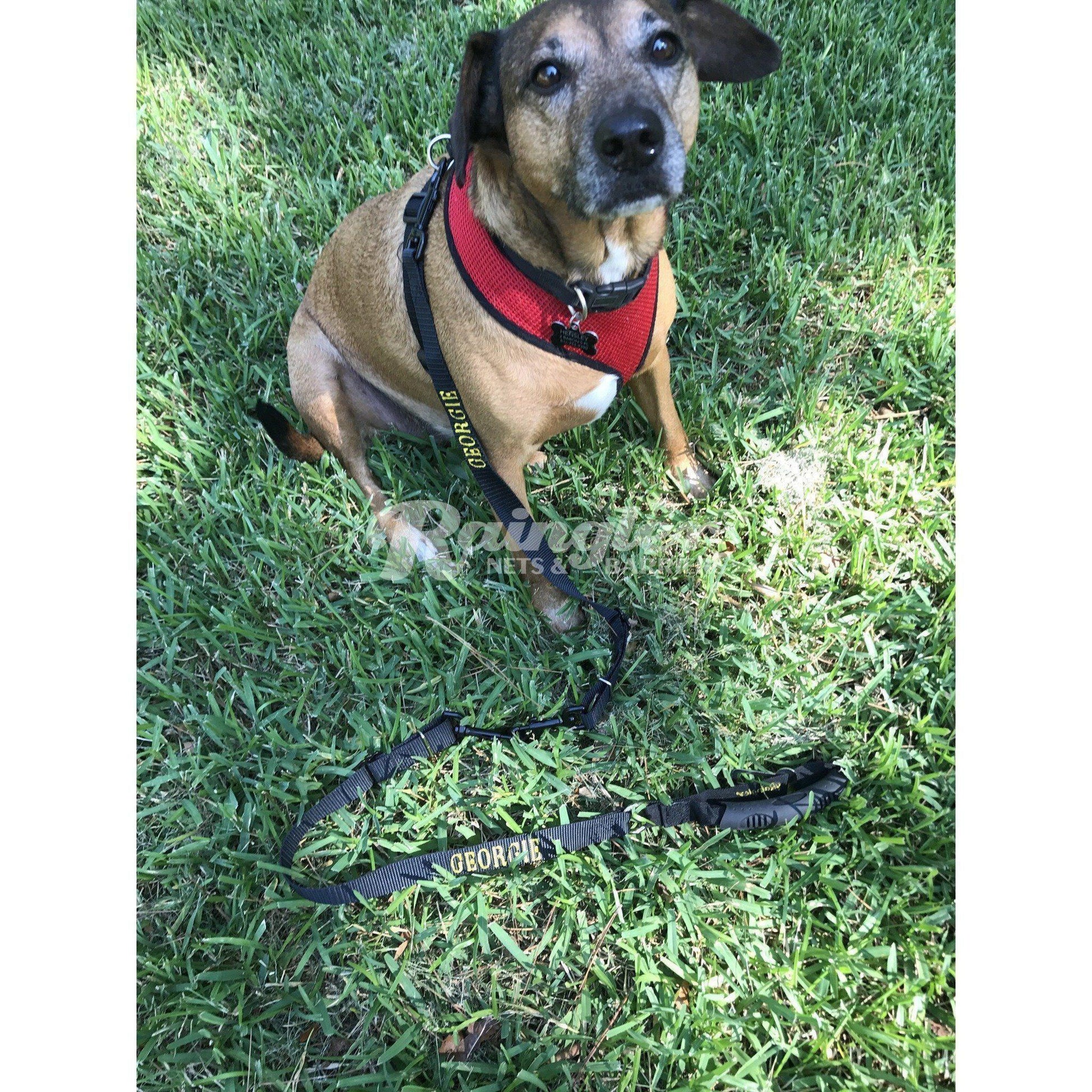 Dog Training Leash - Cargo area-Raingler