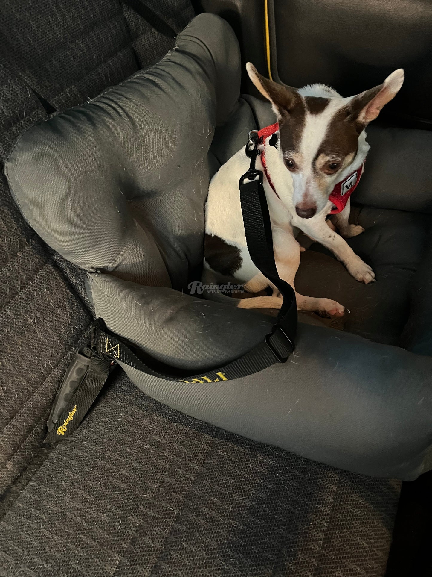 MIL-SPEC Dog Leash with Seatbelt Snap in Retainer-Raingler