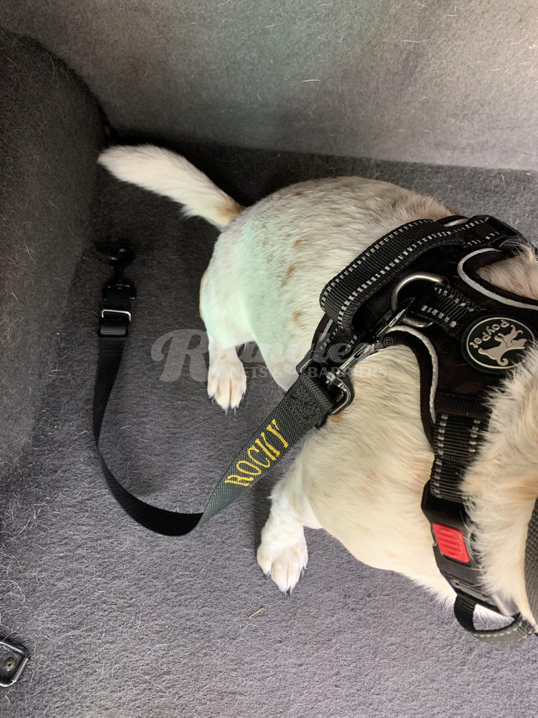 Mil spec 2024 dog harness