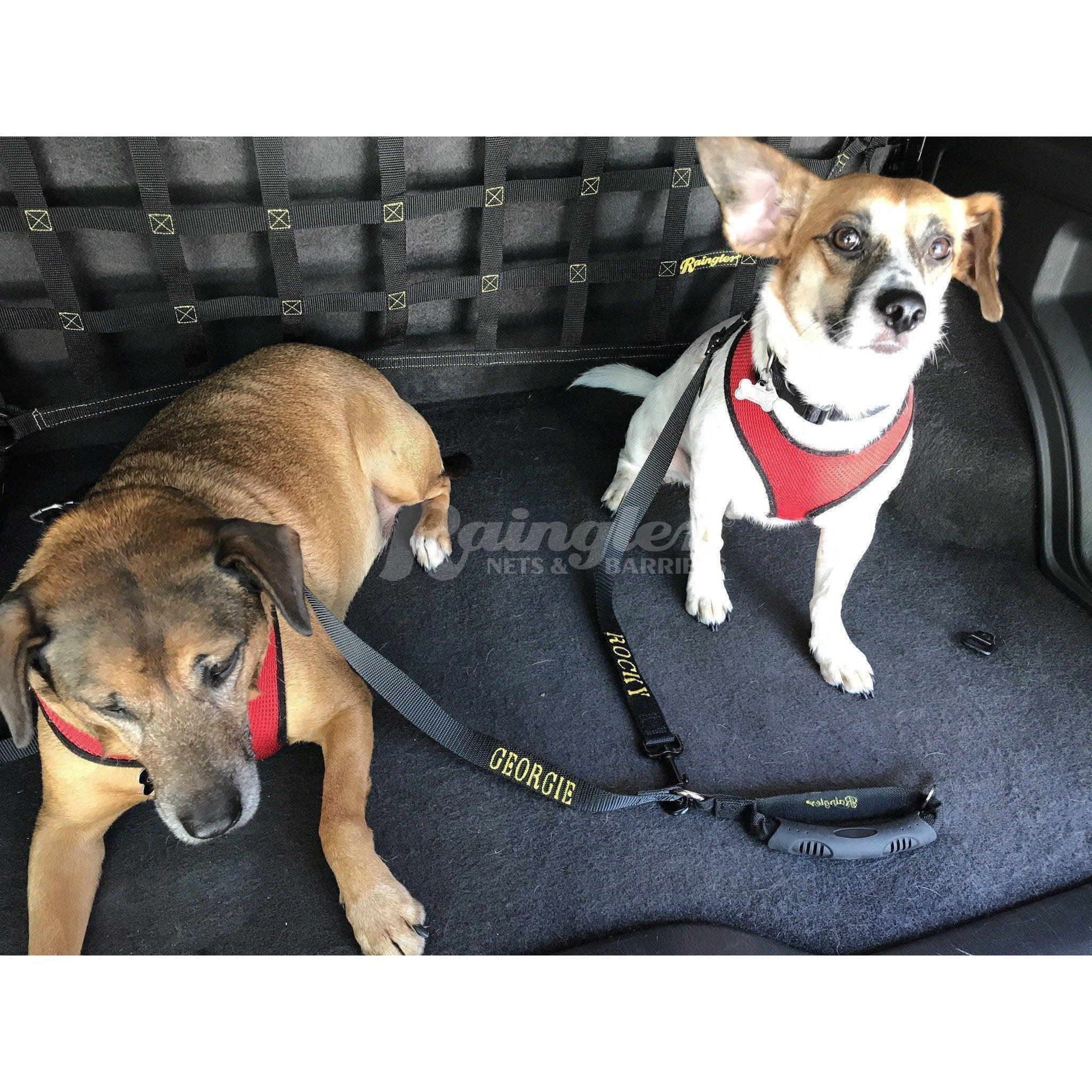 Dog hot sale cargo harness